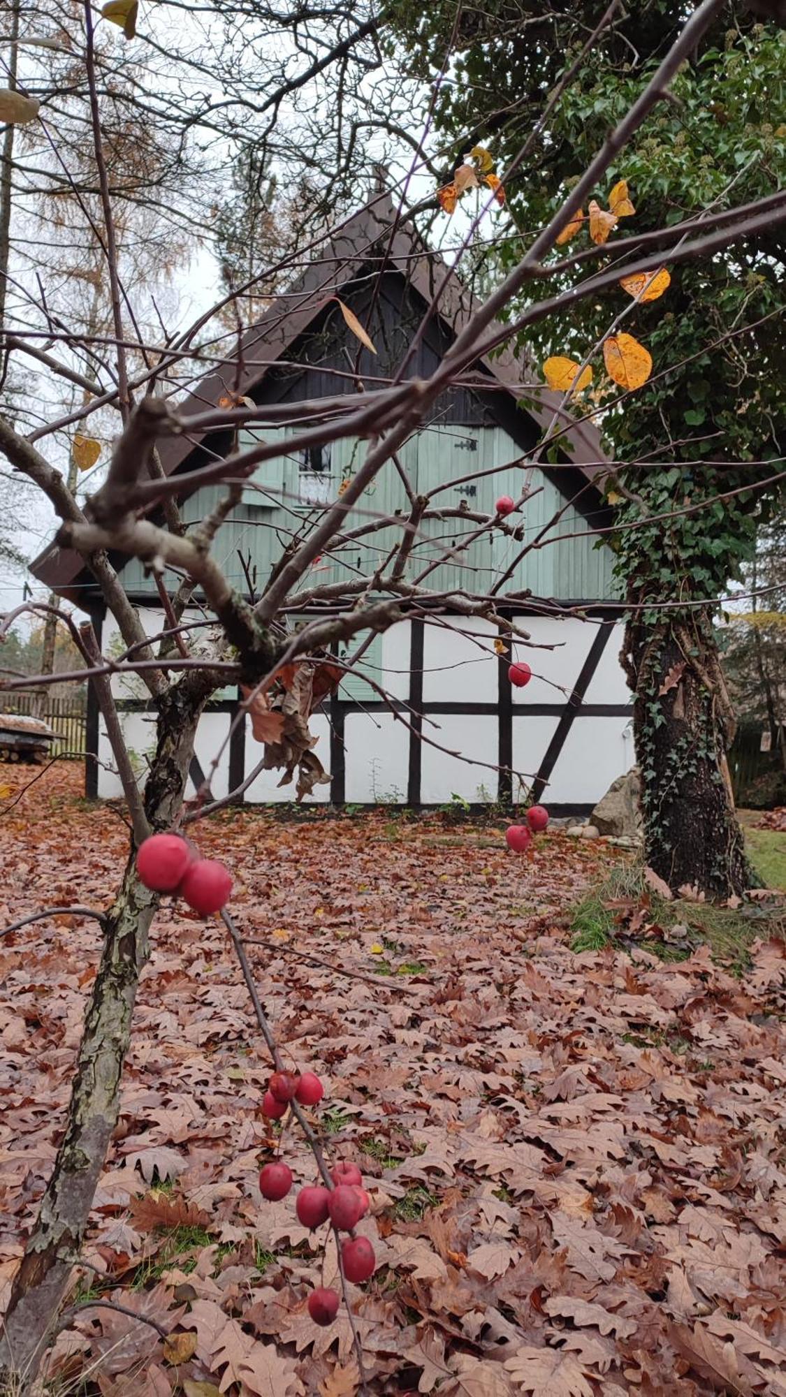 Malanka - Kaszubska Checz Villa Strzepcz Eksteriør bilde